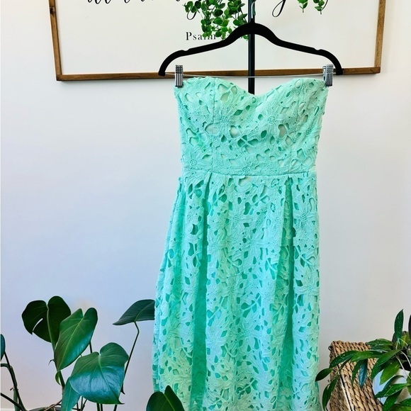 Alya Francesca’s Harpeth Mint Teal Seafoam Midi Guipure Floral Embroidered Dress - Picture 14 of 14